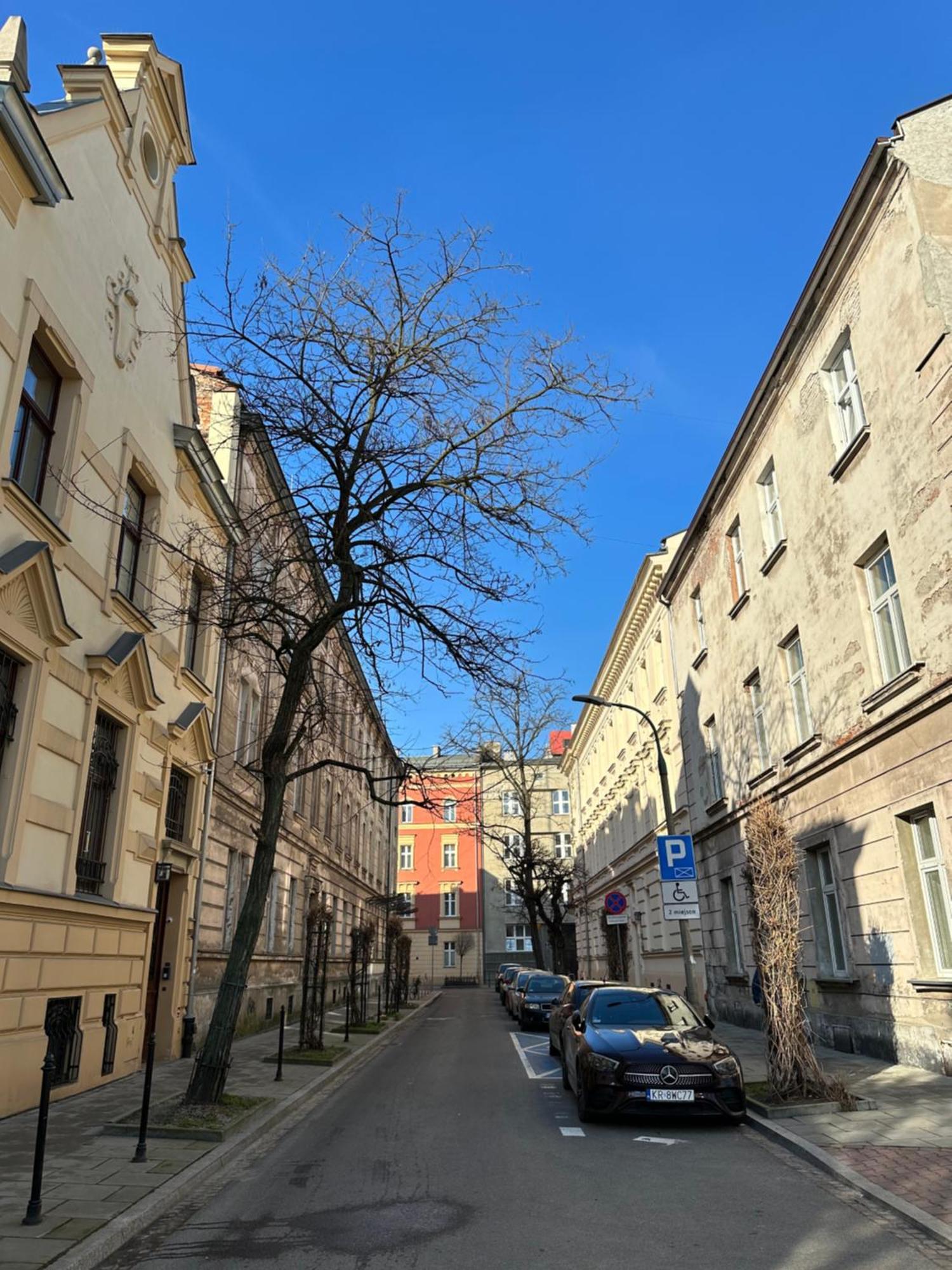 Perfect Place To Stay In Krakow City Center 40M2 W4 Εξωτερικό φωτογραφία
